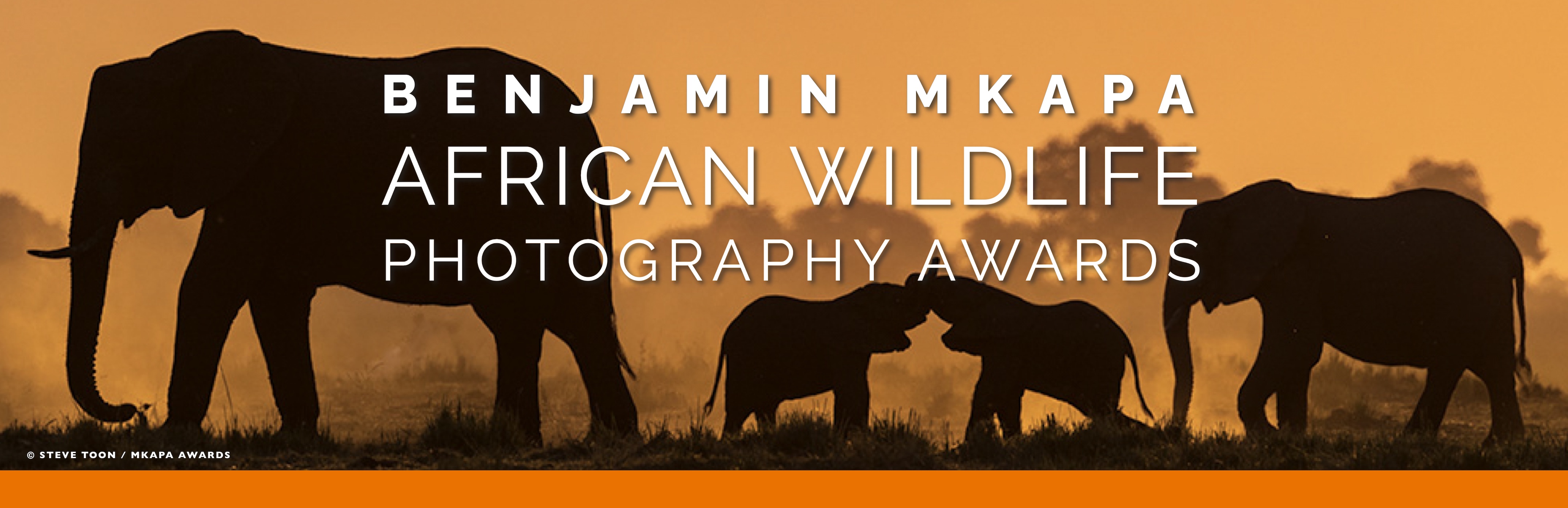 Benjamin Mkapa African Wildlife Photography Awards