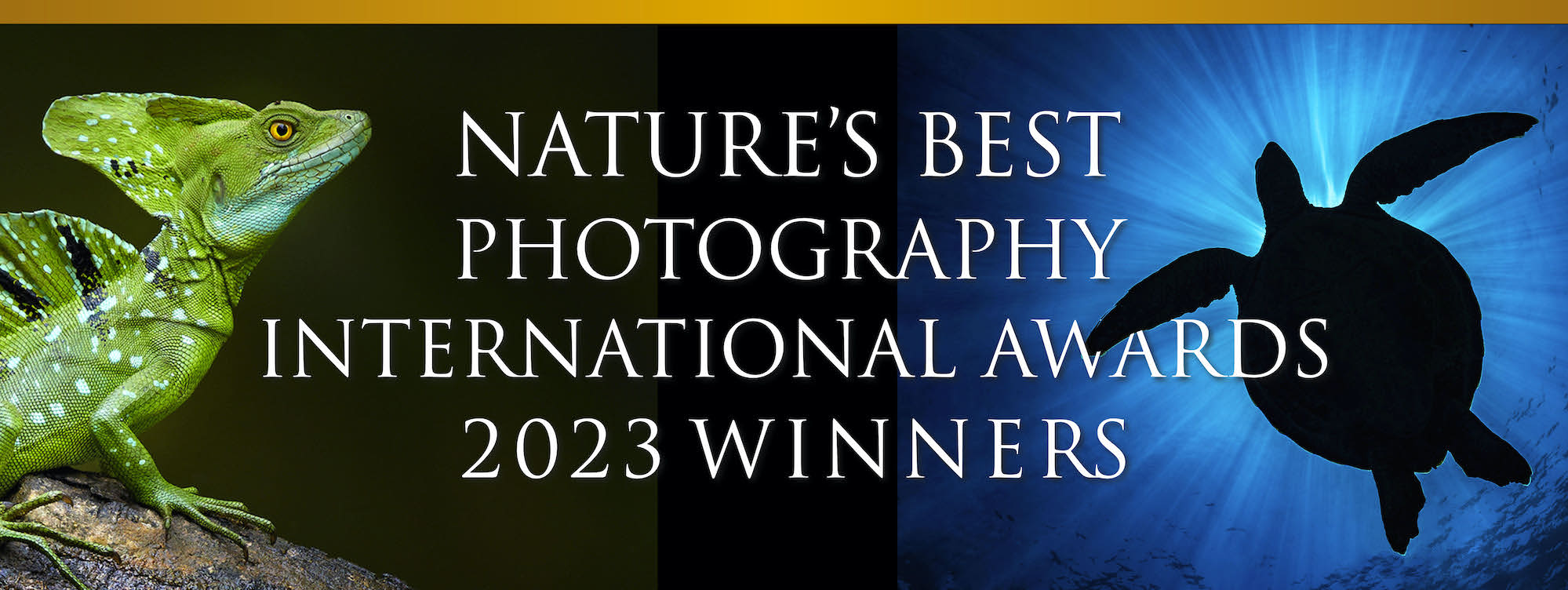 Nature's Best Photography Awards