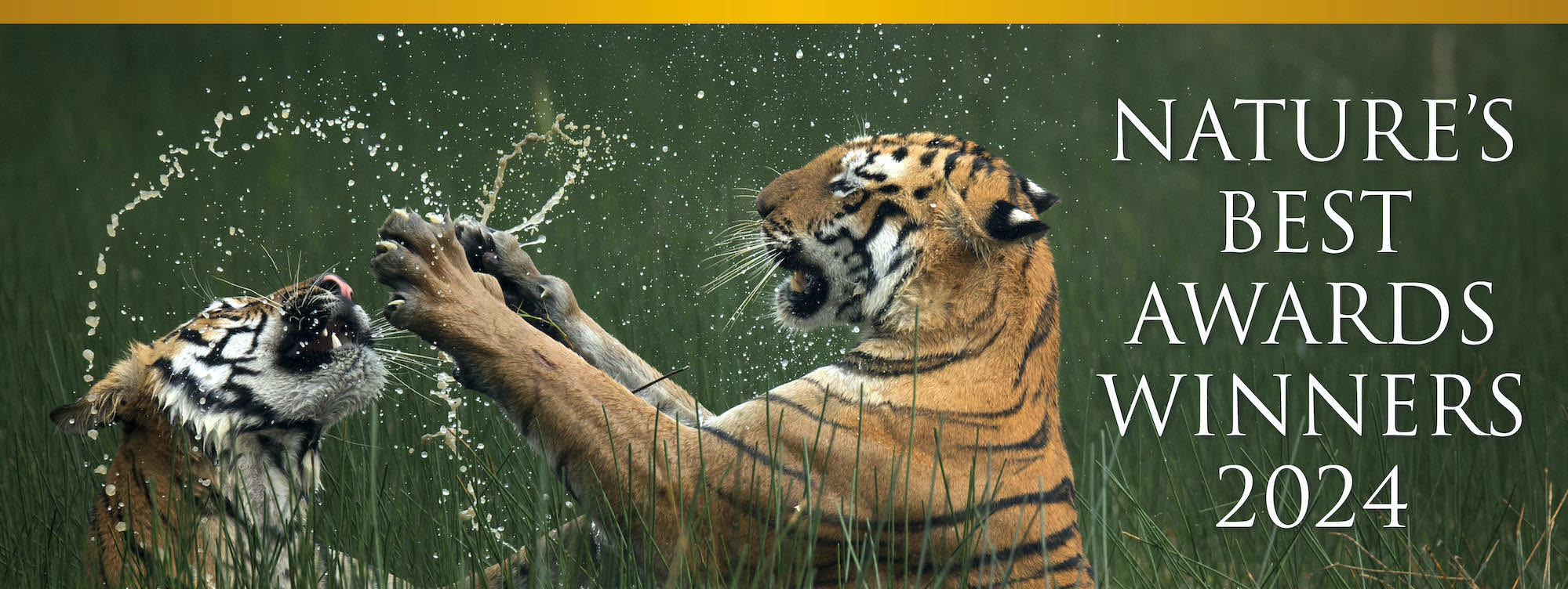 Nature's Best Photography Awards Winner