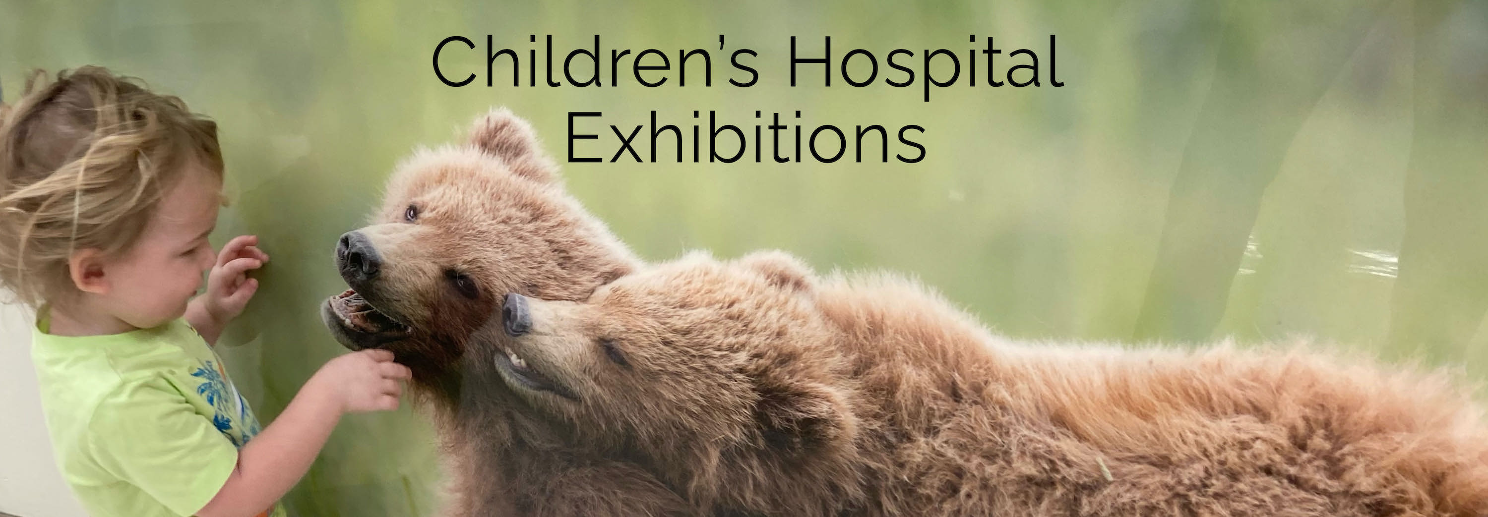 Children's Hospital Exhibitions