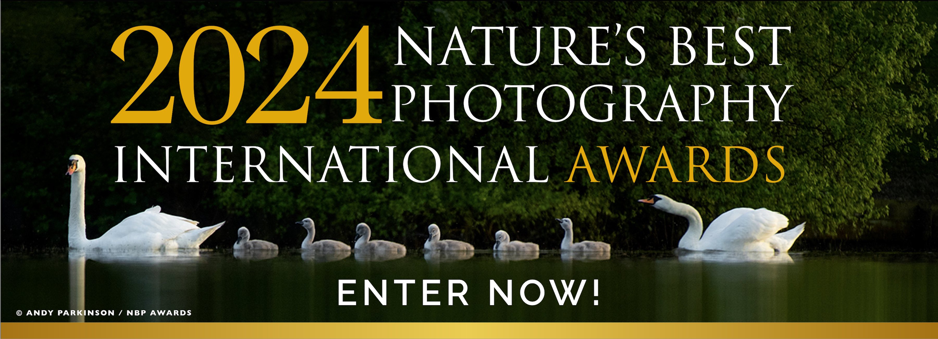 Nature's Best Photography Awards